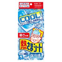 小林製薬 熱さまシート 強冷感 大人用  1セット（60枚：12枚入×5箱）
