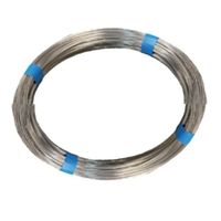 フジテック・ジャパン フジテック ステンレス針金 #20x10M 19806 1個 622-5574（直送品）