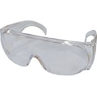 前田シェルサービス 前田シェル 紫外線カットゴーグル(透明) TP9939 1個 667-2679（直送品）