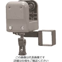 未来工業 未来 先頭Wカッシャー(C形鋼用) CK-84BWTZZ 1個 198-5912（直送品）
