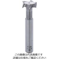 フクダ精工 FKD Tスロットエンドミル TSE35