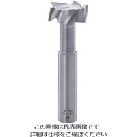 フクダ精工 FKD Tスロットエンドミル50×16 TSE50X16 1本 809-6222（直送品）