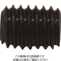 信濃機販 SI セットスクリュウ 216