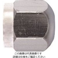 日本アンテナ ダミー抵抗 CS対応F型用 小型タイプ ND75 1個 167-5812（直送品）