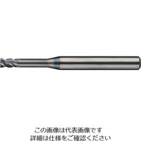 日進工具 NS 無限コーティングプレミアムSUS用高能率Zロングネックエンドミル MSUSZ440-LN D2X3X10 224-4340（直送品）