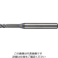 日進工具 NS 無限コーティングプレミアムSUS用高能率Zロングネックエンドミル MSUSZ440-LN D6X9X24 224-7506（直送品）