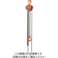 象印チエンブロック 象印 手動チェーンブロック 1t 揚程6m(C21 1ー6m) C2101060 1台 221-8007（直送品）