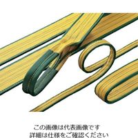 明大 ロックスリング シグマ 200mm×2.0m（両端アイ形） A-1 200X2.0 1本 851-6762（直送品）