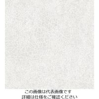 スリーエム ジャパン 3M ダイノックフィルム AEー1634 1220mmX50m AE1634 1巻 104-6823（直送品）