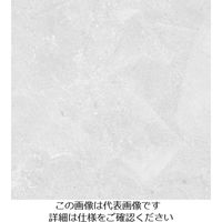 スリーエム ジャパン 3M ダイノックフィルム AEー1637 1220mmX50m AE1637 1巻 104-6793（直送品）