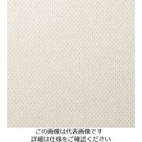 スリーエム ジャパン 3M ダイノックフィルム FEー813 1220mmX50m FE813 1巻 102-9451（直送品）