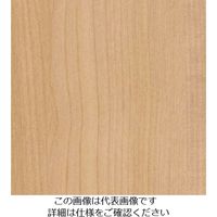 スリーエム ジャパン 3M ダイノックフィルム FWー1262 1220mmX50m FW1262 1巻 103-2601（直送品）