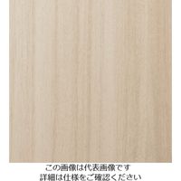 スリーエム ジャパン 3M ダイノックフィルム FWー1207 1220mmX50m FW1207 1巻 103-2621（直送品）