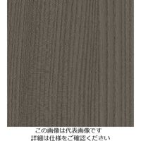 スリーエム ジャパン 3M ダイノックフィルム FWー1216 1220mmX50m FW1216 1巻 104-9987（直送品）