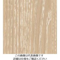 スリーエム ジャパン 3M ダイノックフィルム FWー1217 1220mmX50m FW1217 1巻 104-6760（直送品）