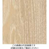 スリーエム ジャパン 3M ダイノックフィルム FWー1766 1220mmX50m FW1766 1巻 104-9915（直送品）