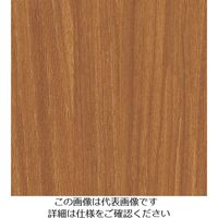 スリーエム ジャパン 3M ダイノックフィルム FWー1331 1220mmX50m FW1331 1巻 104-9935（直送品）