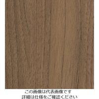 スリーエム ジャパン 3M ダイノックフィルム FWー1022 1220mmX50m FW1022 1巻 103-2634（直送品）