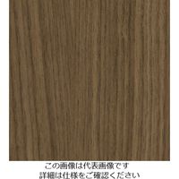 スリーエム ジャパン 3M ダイノックフィルム FWー1021 1220mmX50m FW1021 1巻 104-9916（直送品）