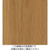 スリーエム ジャパン 3M ダイノックフィルム FWー1257 1220mmX50m FW1257 1巻 104-5248（直送品）