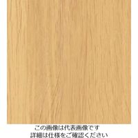 X[G Wp 3M _CmbNtB FW[1256 1220mmX50m FW1256 1 104-6767iij