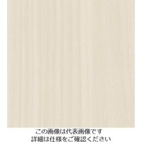 スリーエム ジャパン 3M ダイノックフィルム WGー1705 1220mmX50m WG1705 1巻 104-0796（直送品）