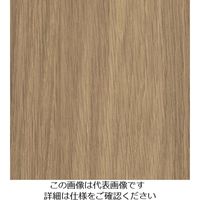 スリーエム ジャパン 3M ダイノックフィルム WGー1710 1220mmX50m WG1710 1巻 103-7642（直送品）