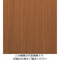 スリーエム ジャパン 3M ダイノックフィルム WGー2862 1220mmX50m WG2862 1巻 104-5565（直送品）