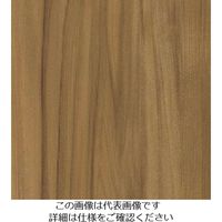 スリーエム ジャパン 3M ダイノックフィルム WGー1337 1220mmX50m WG1337 1巻 104-0745（直送品）