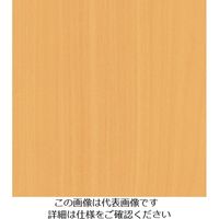 X[G Wp 3M _CmbNtB WG[2246 1220mmX50m WG2246 1 103-9191iij