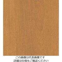 スリーエム ジャパン 3M ダイノックフィルム WGー1058 1220mmX50m WG1058 1巻 104-3895（直送品）