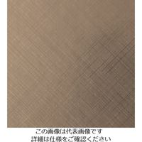 スリーエム ジャパン 3M ダイノックフィルム VMー1695 1220mmX25m VM1695 1巻 104-3918（直送品）