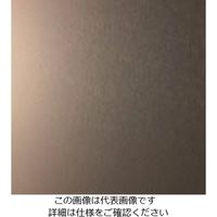 スリーエム ジャパン 3M ダイノックフィルム VMー305 1220mmX25m VM305 1巻 103-9210（直送品）