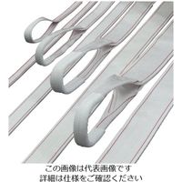 明大 ロックスリング PP 25mm×2.0m P-1 25X2.0 1本 851-8104（直送品）