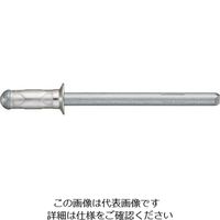 POP スチールHRタイプリベット(皿頭スチール製)SKー63ーHR(1000本入り) SK-63-HR 1箱(1000本)（直送品）