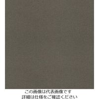 スリーエム ジャパン 3M ダイノックフィルム PAー389 1220mmX50m PA389 1巻 104-6827（直送品）