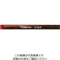 日本デコラックス DECOLUXE ケミカルアンカー Rタイプ（ーN）（回転及び回転打撃型）穿孔深さ300 R-22LN 124-6725（直送品）