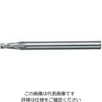 日進工具 NS テーパーEM Φ0.6X30’ NTE-2 0.6X30 1個 729-7815（直送品）