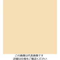 スリーエム ジャパン 3M ダイノックフィルム PSー1442 1220mmX50m PS1442 1巻 104-0438（直送品）