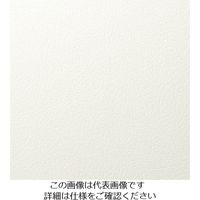 スリーエム ジャパン 3M ダイノックフィルム LEー1105 1220mmX50m LE1105 1巻 104-6791（直送品）