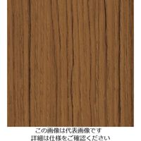 スリーエム ジャパン 3M ダイノックフィルム FWー1125 1220mmX50m FW1125 1巻 103-1075（直送品）