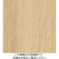 スリーエム ジャパン 3M ダイノックフィルム FWー1129 1220mmX50m FW1129 1巻 103-2691（直送品）