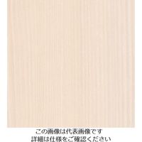 スリーエム ジャパン 3M ダイノックフィルム FWー1138 1220mmX50m FW1138 1巻 103-2697（直送品）