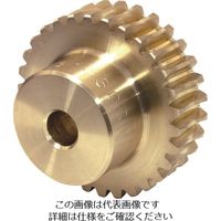 小原歯車工業 KHK ウォームホイールAG1.5ー20R1 AG1.5-20R1 1個 127-7766（直送品）