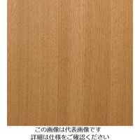 スリーエム ジャパン 3M ダイノックフィルム FWー1283 1220mmX50m FW1283 1巻 103-1085（直送品）