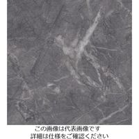 スリーエム ジャパン 3M ダイノックフィルム STー1586 1220mmX50m ST1586 1巻 104-6749（直送品）