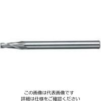 日進工具 NS テーパーEM Φ0.6X2゜ NTE-2 0.6X2 1個 729-7785（直送品）