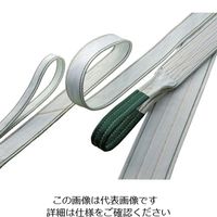 明大 ロックスリング E× E×ー2 25mm×0.75m エンドレス型 EX-2 25X0.75 1本 851-7726（直送品）