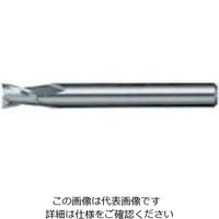 日進工具 NS リード25エンドミル NXー25 φ1 1 1個 729-9273（直送品）