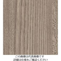 スリーエム ジャパン 3M ダイノックフィルム FWー1266 1220mmX50m FW1266 1巻 104-9944（直送品）